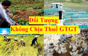 Các đối tượng không chịu thuế GTGT theo thông tư 219/2013/TT-BTC